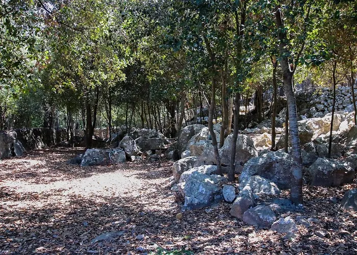 Coster De Na Plomera - Plomera *