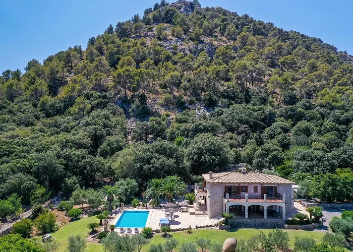 Coster De Na Plomera - Plomera *